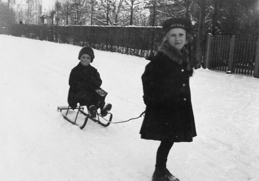 Et billede, der indeholder udend�rs, sne, tr�

Automatisk genereret beskrivelse